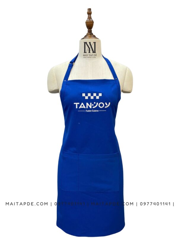 Tap de mau xanh duong co tang dua TDX11
