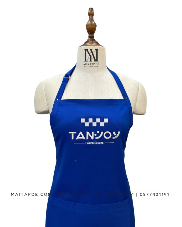 Tap de mau xanh duong co tang dua TDX11